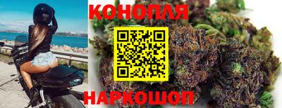 прущие грибы Партизанск