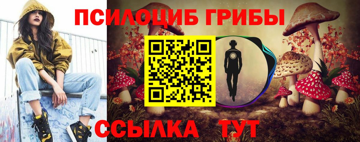 Галлюциногенные грибы прущие грибы Пугачёв